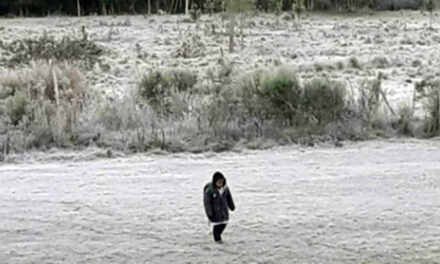 El nene que camina 3 kilómetros  y cruza arroyos para ir a la escuela